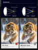Sport_Detail_Page_ (6)