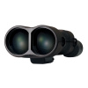 Бинокль VIXEN ATERA II 16x50 ED WP с оптическим стабилизатором