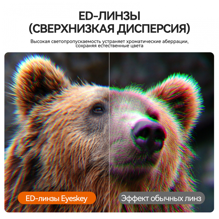 Бинокль Eyeskey Vigil - 12x50