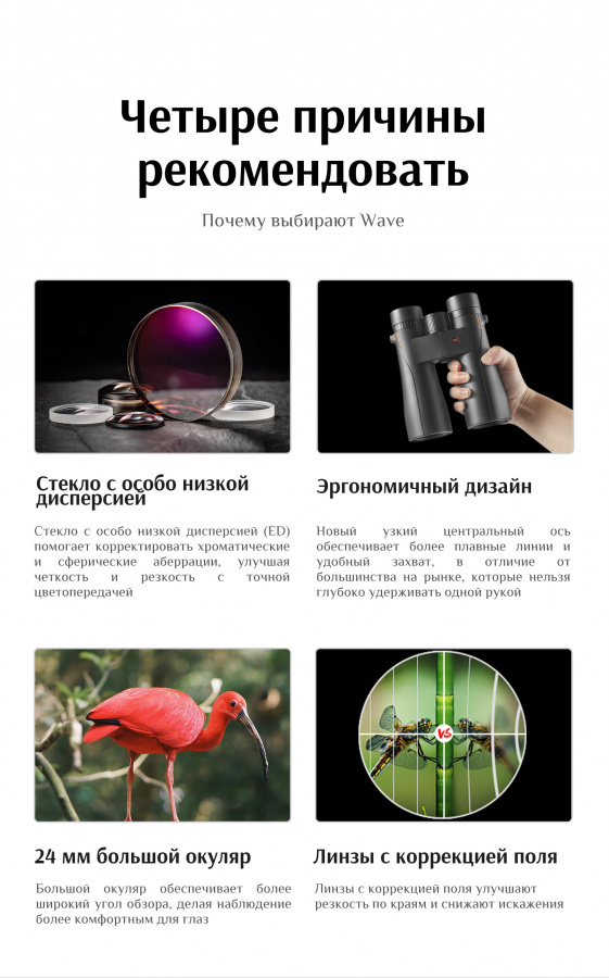 Бинокль Eyeskey Wave ED-10x50