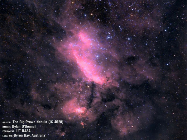 The_Big_Prawn_Nebula_IC_4628_-_RASA_-_20_Jul_2017_04f19087-8eca-48fc-a2ed-bcce6e55e17c