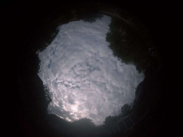 CCD-Image-365-e1659532172161