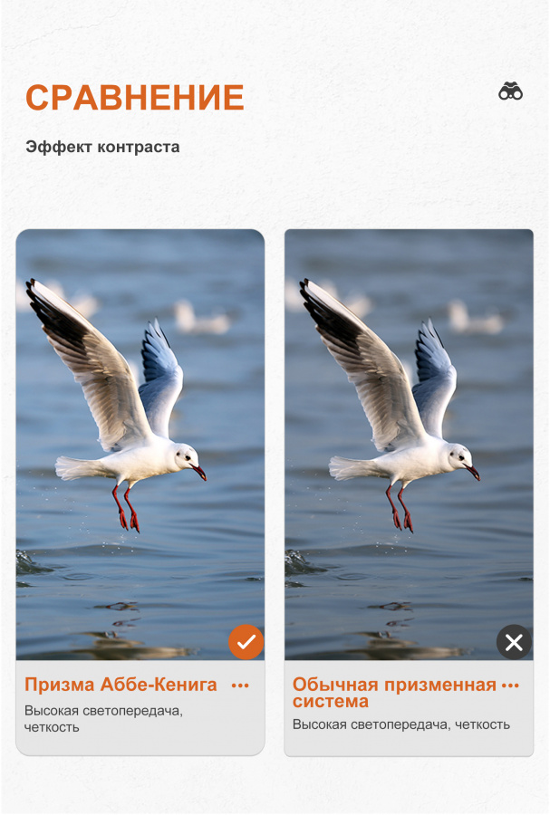 Бинокль Eyeskey Zenith ED -10x42