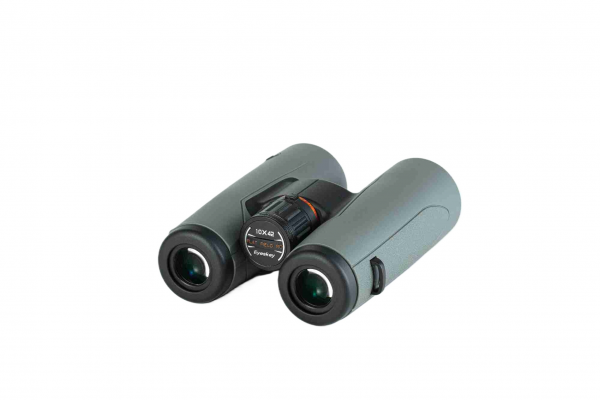 EyeS-B129GS_2