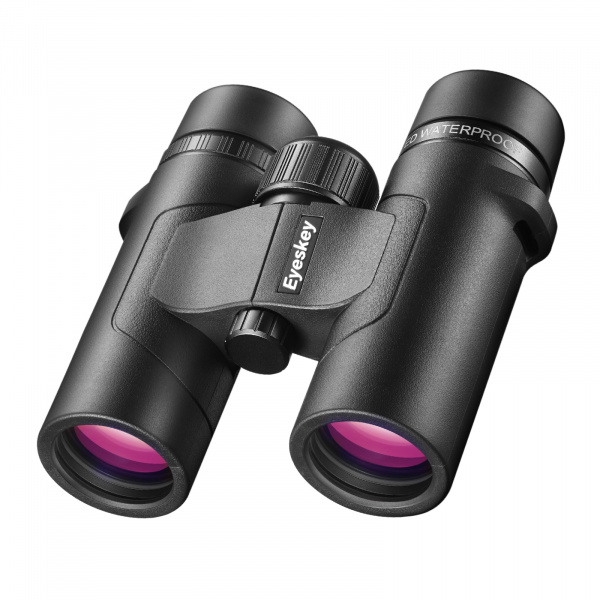 EyeS-B111_2