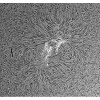 TP324013_6
