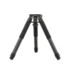 ZWO-21017_6