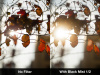 Black-Mist-half-trees-LR