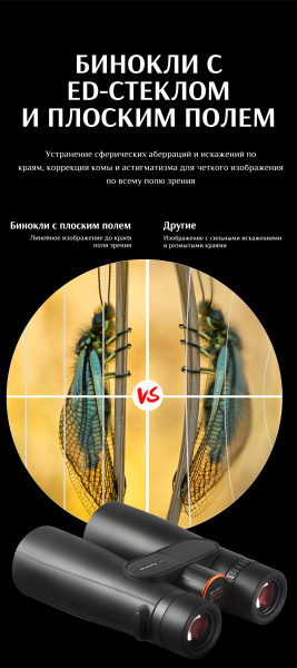 Sport_Detail_Page_ (8)