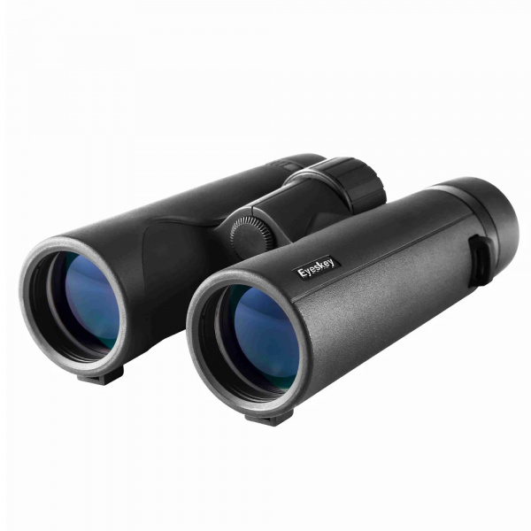 EyeS-B100_2