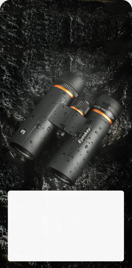 Бинокль Eyeskey ProPilot APO EB - 10x42