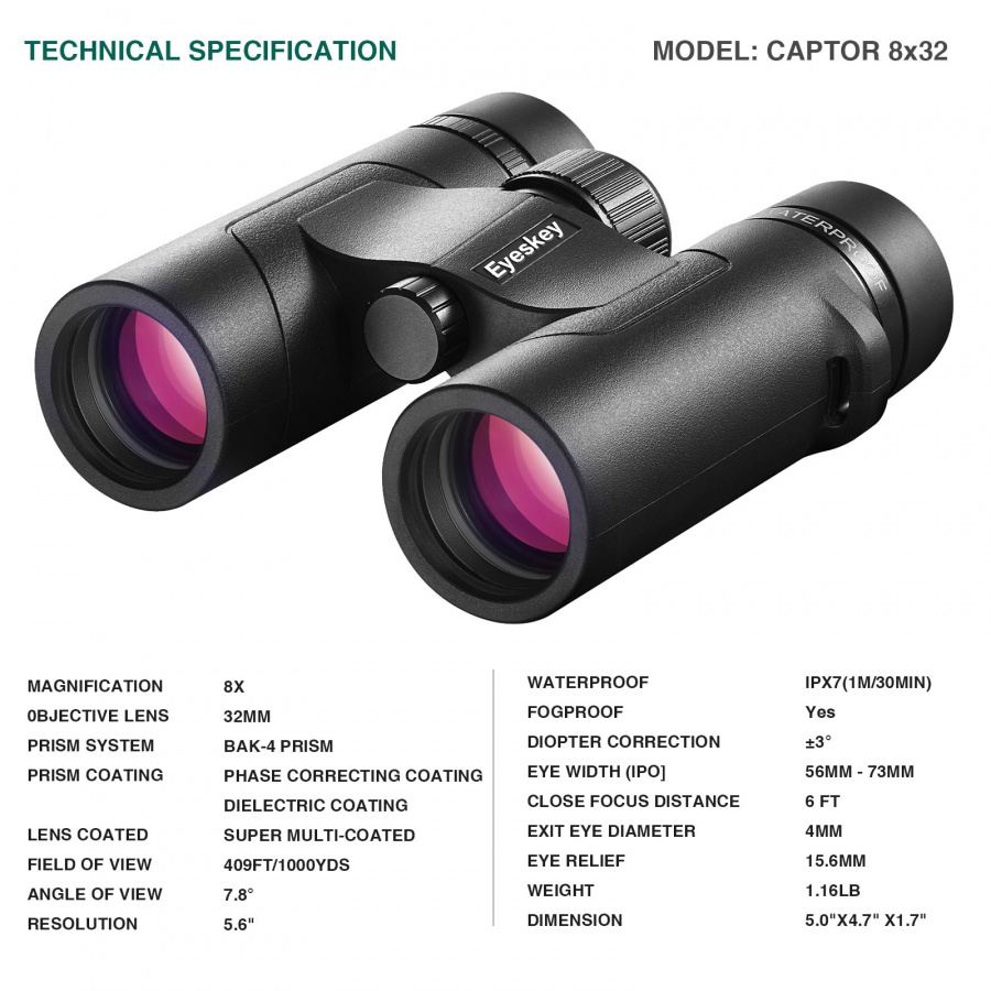 EyeS-B111_4