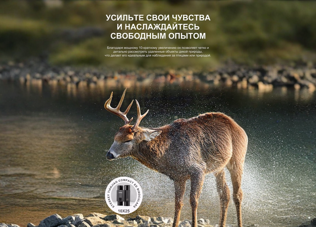 Бинокль Eyeskey SkyPower Flat-Field ED-10x25 — фото 8